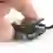 Thay pin Apple Watch Series 5 2
